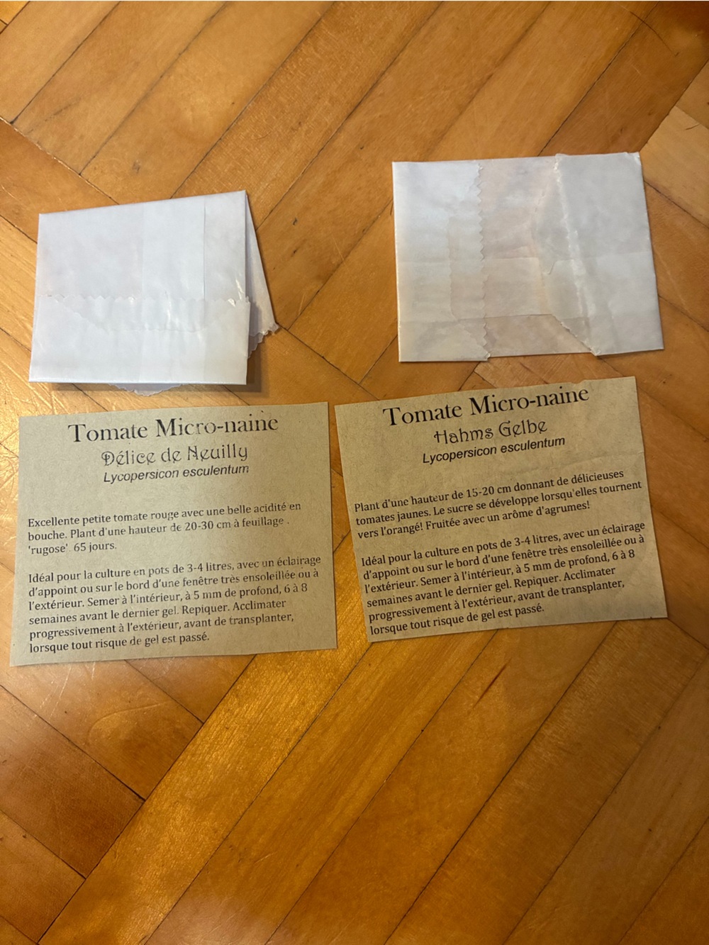 Tomato seeds